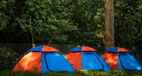 Dandeli Resorts And Spa